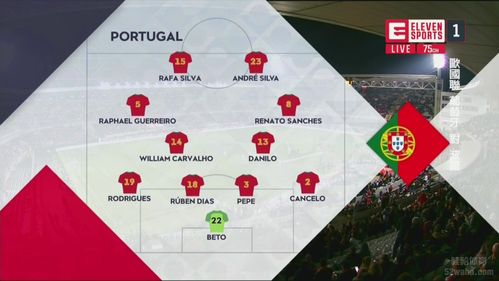 葡萄牙vs波兰比分
